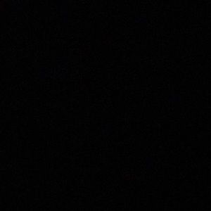 Meet your Posher, Sasha